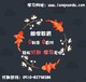 无锡英语口语培训哪里较好