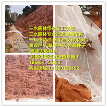 福州漳州厦门边坡防护网施工专用边坡草籽及边坡资材