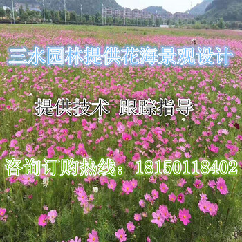 三明永安市专卖店提供草籽花种及资材