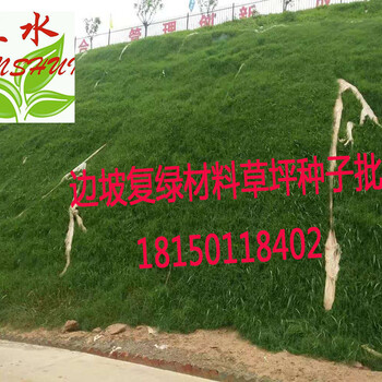 貴州畢節(jié)客土噴播掛網(wǎng)綠化TBS植被護(hù)坡綠化CS高次團(tuán)粒噴播材料包施工