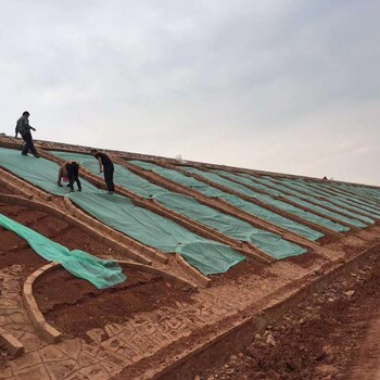 貴陽(yáng)填石路堤植生袋噴草種和土石路堤有什么區(qū)別