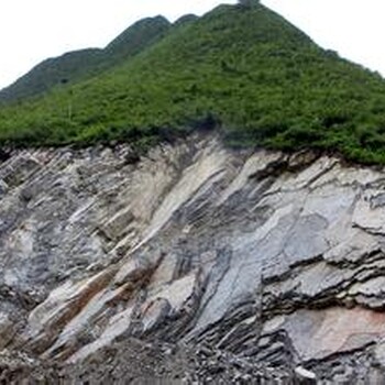 六盘水石头坡面客土喷播适合种植哪些草种草籽灌木种子