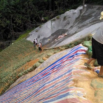 铜仁半干旱地区矿山绿化植物草籽生态修复出售