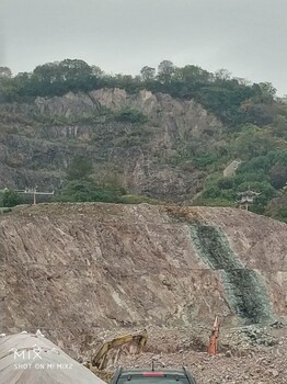 三明岩石高陡坡面绿化植草草籽灌木种子供应