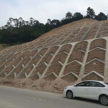 提供黔东南高陡岩石边坡绿化适合用那种草籽植物种子