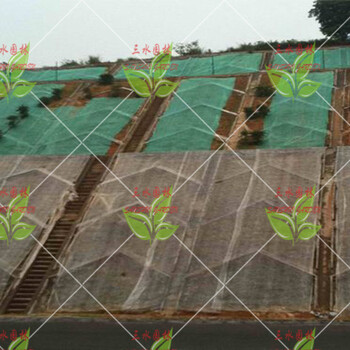 哪有適合廣東的綠化草籽高速公路護(hù)坡草籽？