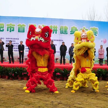 合肥洪武黄飞鸿龙狮合肥舞狮演出,合肥劳动节舞狮表演