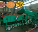 供应大型玉米振动筛大豆清理筛粮食清粮机稻谷清选机图片