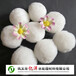 青海西宁纤维球生产厂家改性纤维球出厂价格纤维球滤料