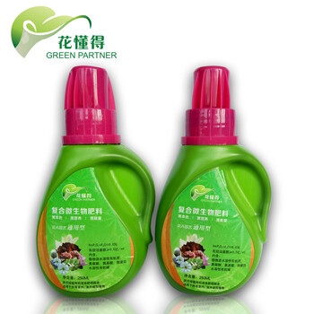 滴灌肥澆灌具有霸王氣質(zhì)的大王花