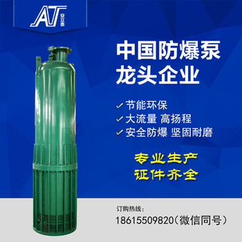 贵州供应矿用防爆潜水泵BQS100-70/37/N