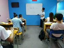 学英语口语，语法，写作词汇就找曼利外语学校图片3