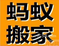 新浜镇蚂蚁搬家公司公司搬迁大件搬家图片1