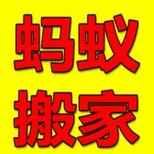 新浜镇蚂蚁搬家公司公司搬迁大件搬家图片2