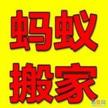 蚂蚁搬家公司全市24小时服务钢琴搬运长途搬家打包托运图片1