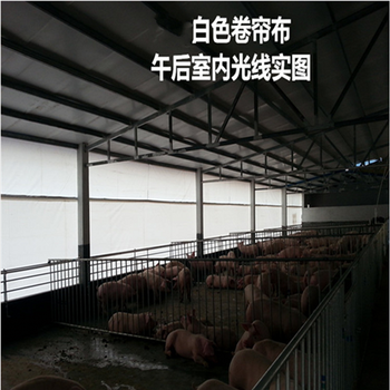 西藏養殖牛舍卷簾羊場卷簾豬欄卷簾雞棚卷簾篷布廠家價格