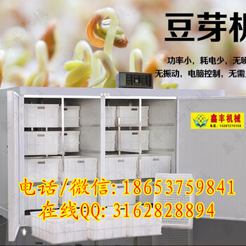 枣庄哪里有卖豆芽机全自动商用豆芽机价格鑫丰发豆芽设备厂家