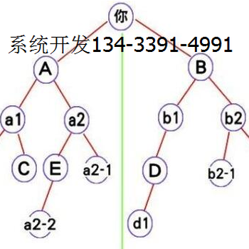 双轨制模式系统开发