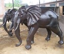 供应铜大象雕塑吉祥如意镇宅铜动物铜雕生产厂家图片