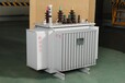 供应S11-315KVA配电变压器箱式变电站箱式变压器