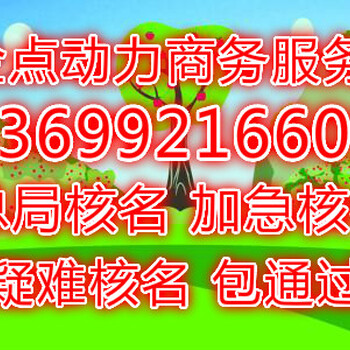 代办国家总局加急核名