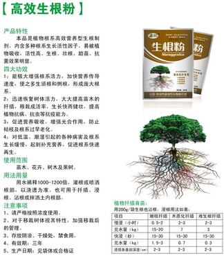 【生根粉的使用方法_生根液价格|图片】-黄页