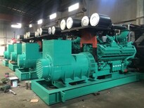 恩施恩施发电机出租(30-2000KW)随叫随到图片1