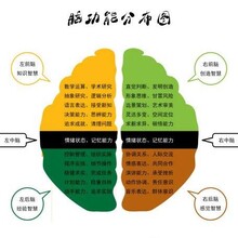 英語單詞速記培訓(xùn)加盟/超能金腦超級(jí)記憶力加盟條件