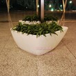 玻璃钢定制花盆哪家便宜质量又好？落地大花钵菱形花盆组合图片