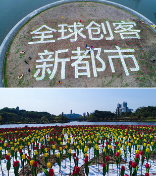 沈阳梦幻灯光节厂家梦开始的地方