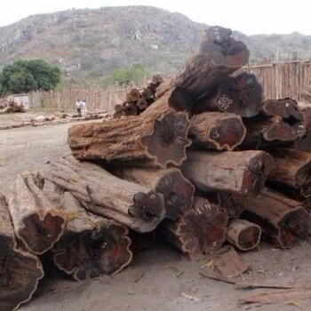 如何办理刚果原木进口报关清关手续-木材进口关税税率