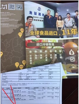 原装进口丹麦哥本哈根嘉士伯啤酒怎么进口报关/啤酒进口清关代理