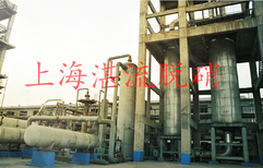 上海厂家烟气脱硝系统，SNCR脱硝模块，生物质锅炉烟气脱硝图片0