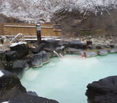 专业温泉景区、水上乐园规划设计温泉度假村规划设计温泉酒店规划设计温泉酒店管理水上乐园规划设计