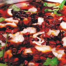 烏江魚技術(shù)培訓(xùn)重慶老火鍋師傅