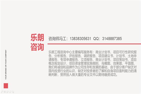 西安区本地代写报告/可行性报告的公司