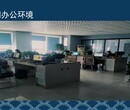 泰安宁阳县专门做可行性报告/可研报告公司