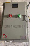 ExdIIBT4防爆应急照明集中电源A型TY-D-0.6KVA-36L01EX