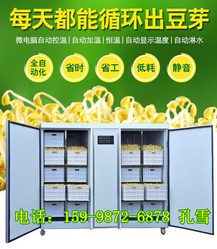 安徽和县豆芽机厂家豆芽机器设备哪家好箱式节能豆芽机