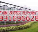 阳光板厂家供应蔬菜大棚温室PC阳光板图片