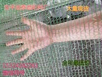 北京两针绿色工地盖土网防尘网图片0
