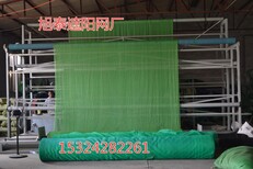 北京两针绿色工地盖土网防尘网图片3