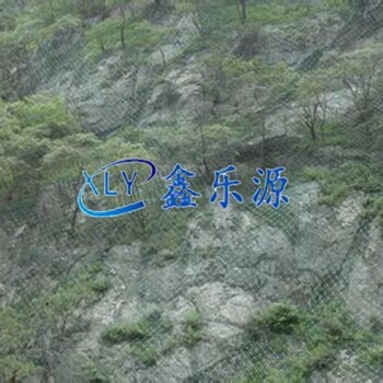 防滑坡邊坡防護網(wǎng)廠家_防滑坡邊坡防護網(wǎng)找鑫樂源詢價格