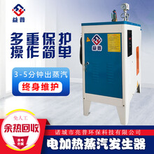 亮普商用型小型电加热蒸汽发生器12KW