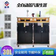 亮普商用型供暖采暖设备电加热蒸汽发生器144KW
