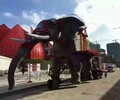 高大機械大象出租租賃燈光展廠家出售恐龍租賃出售