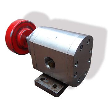 FX外润滑齿轮泵小型不锈钢电动卧式齿轮泵