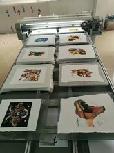 鞋材數(shù)碼印花機(jī)