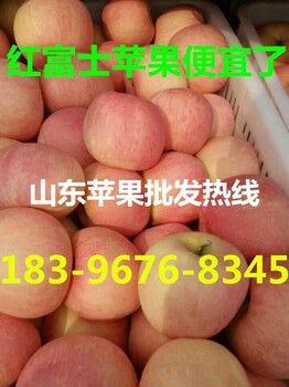 今日冷库苹果价格-山东红富士苹果批发价格多少