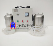 WTS-2A（一控二）水杀菌消毒设备臭氧发生器